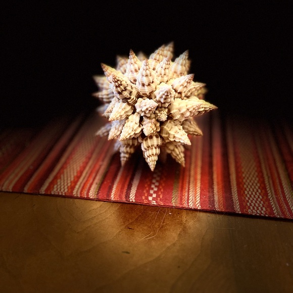 Shell sphere. Island decor 5 inch tall. - Picture 2 of 7